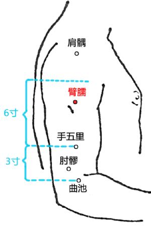 臂儒穴|臂臑穴位置 